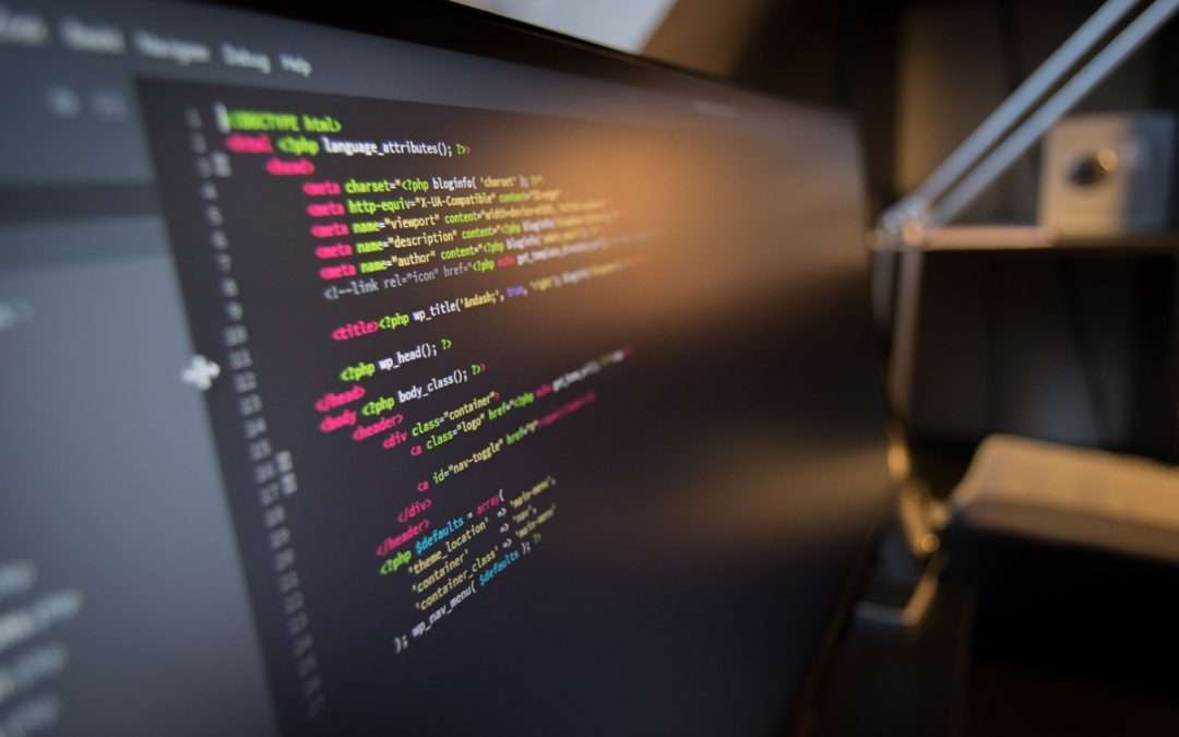 Software as a Service (SaaS) by BizAppStack